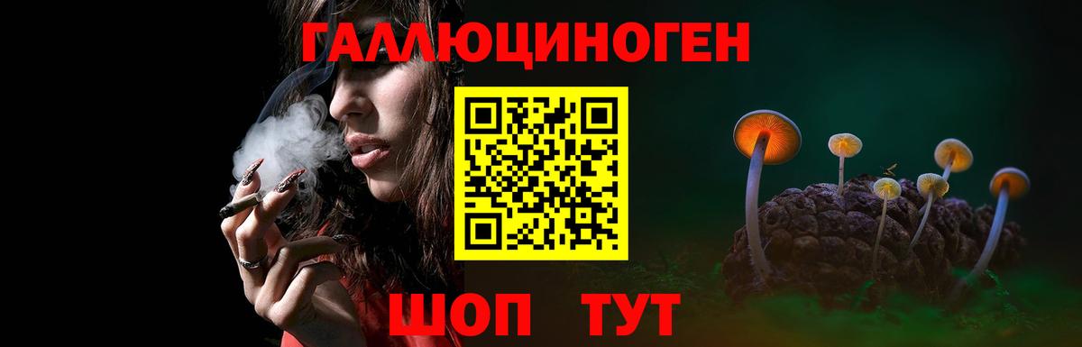 Псилоцибиновые грибы Psilocybine cubensis Алапаевск